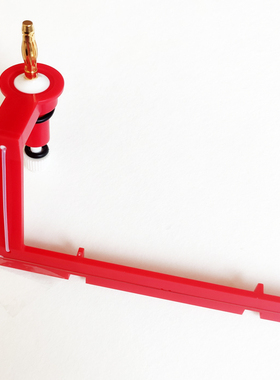 电泳槽 红色黑色电极 铂金丝架 DYCP-31DN电极 六一天能百晶君意