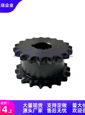链轮SP50SD12-13-14-15-16-17-18-19-20-21-N-S-25-28-30-35-40