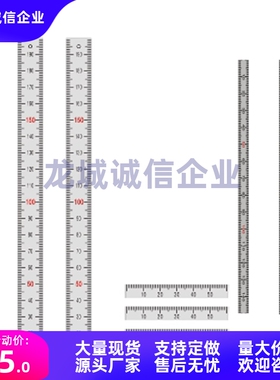 刻度尺BLR01 BLR02 BLR05 BLR06 BLR31 32 35 36-L100 200标尺