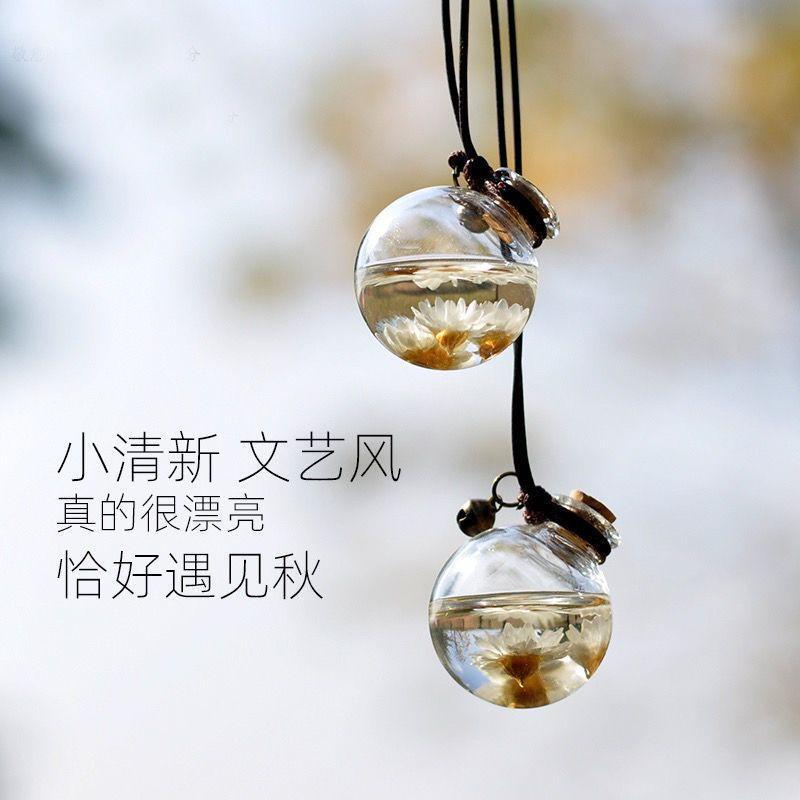 网红车载香水空瓶车用香薰瓶高档汽车香水瓶可自装车内挂饰品淡香