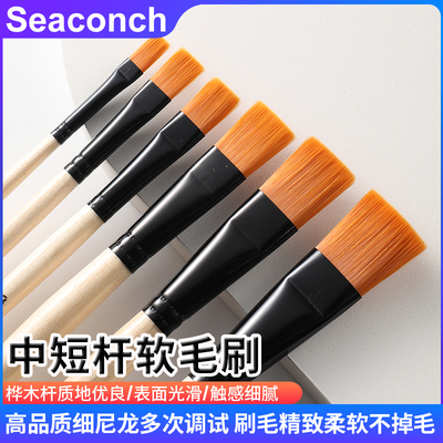 中杆短杆超软毛刷工业清洁刷