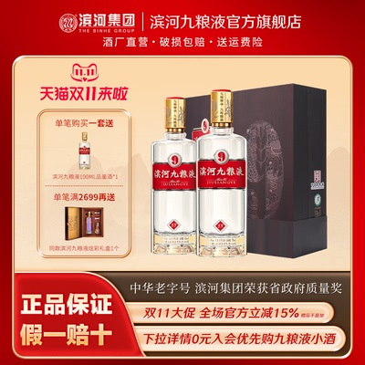 滨河九粮液53度白酒双瓶礼盒