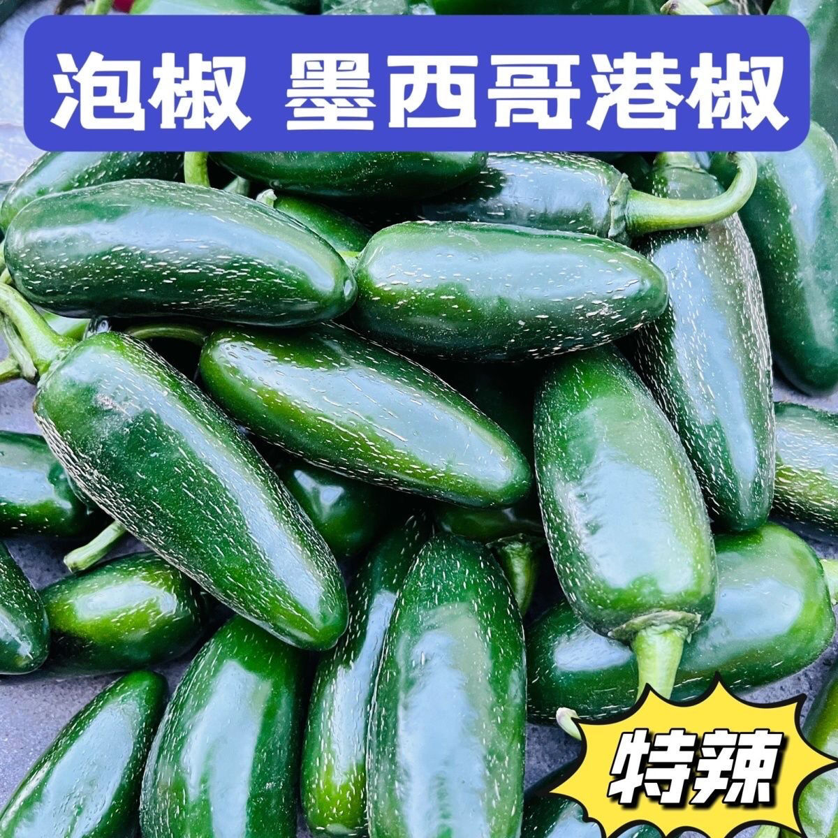 甘肃新鲜辣椒墨西哥港椒厚肉泡椒脆嫩油焖港椒新鲜辣椒