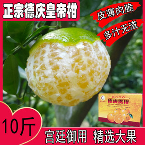 皇帝柑正宗德庆贡柑新鲜特级大果整箱当季水果黄帝橙橘子10斤礼盒
