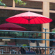 上海伞户外遮阳伞花园太阳伞商用外摆仿古伞绣球花庭院露台中柱伞
