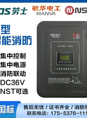 劳士敏华NST智能消防应急照明集中电源箱集中控制A型eps配电箱36v