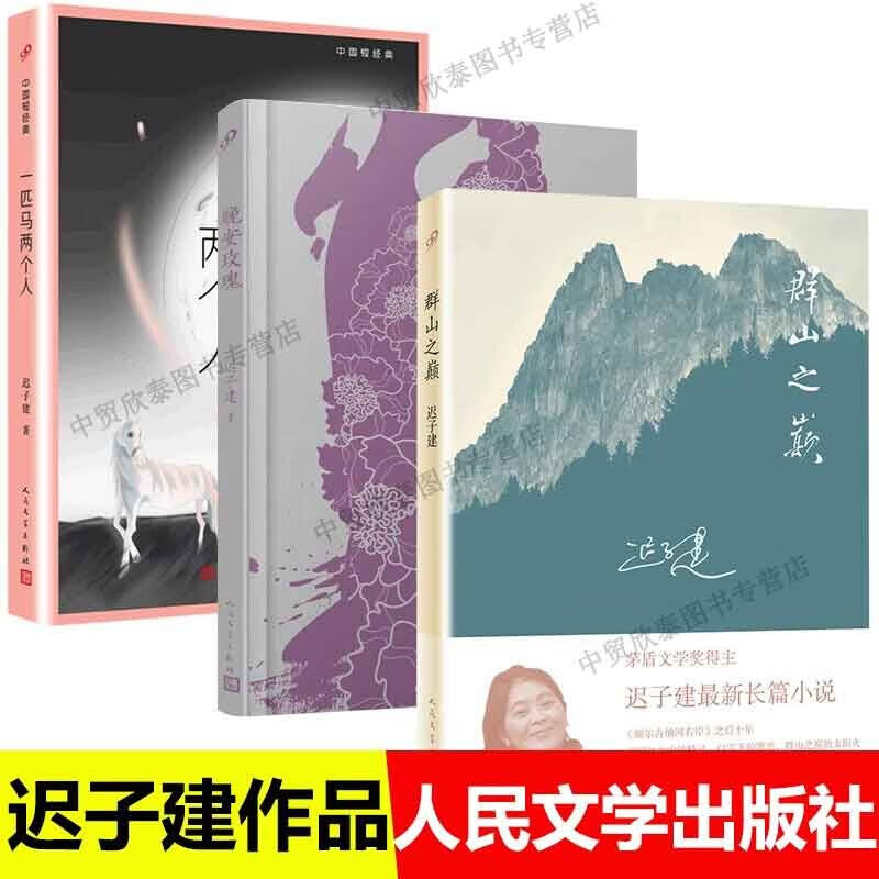 【单册任选】正版全套3迟子建