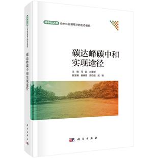 碳达峰碳中和实现途径