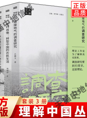 理解中国丛书全套3册 做接地气的调查研究＋花村肖像转型中国的农民生活＋大后方作为稳定器和蓄水池的中国农村振兴治理东方出版社