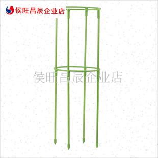外月季 爬藤架花架铁线莲绿萝蟹爪兰支架龟背O竹仿倒伏植物支撑杆