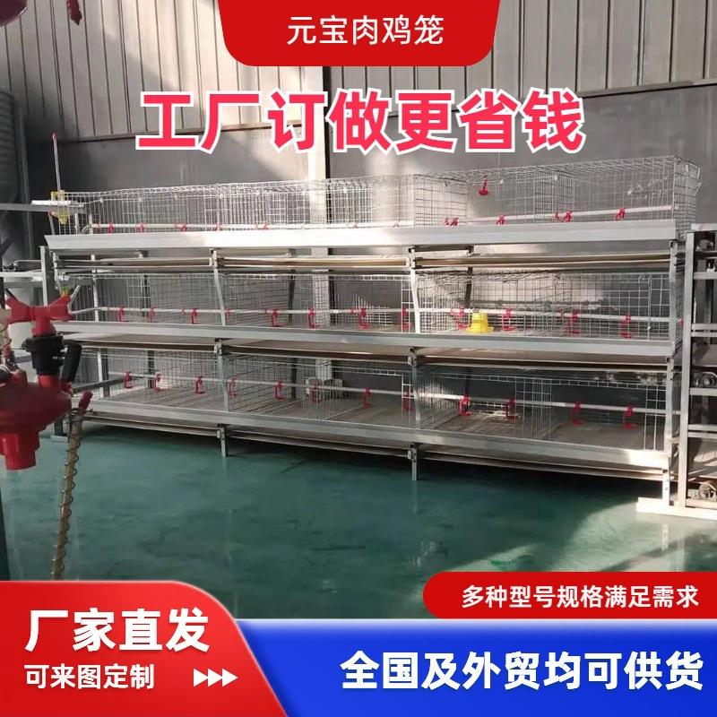 元宝笼养殖成年肉鸡笼全自动传送喂料清粪鸡用养殖笼可养殖场