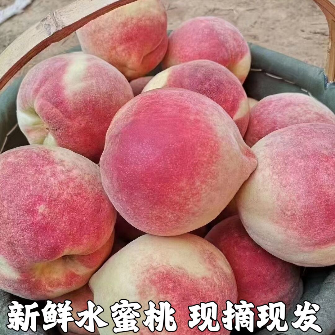 水蜜桃桃子水果新鲜当季整箱应季脆桃现摘水果毛桃现季包邮超甜