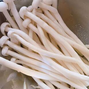 新鲜海鲜菇鲜嫩菌菇火锅烧烤炒菜新鲜食用菌菇鲜货食用蘑菇非干货