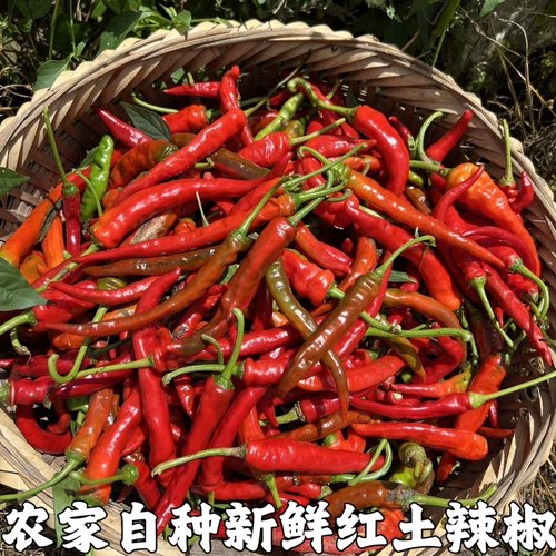 鲜红辣椒新鲜湖北新鲜红杭辣椒红辣椒海尖椒做泡椒剁椒红色杭椒