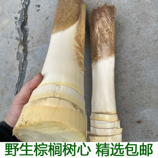 现砍新鲜甜棕树心棕树尖棕榈芯棕树头棕榈心棕榈树树心1个包邮