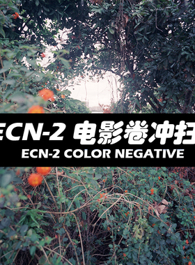 ECN-2 电影胶卷/胶卷/冲洗+扫描/冲扫服务【鸽子窝冲扫】