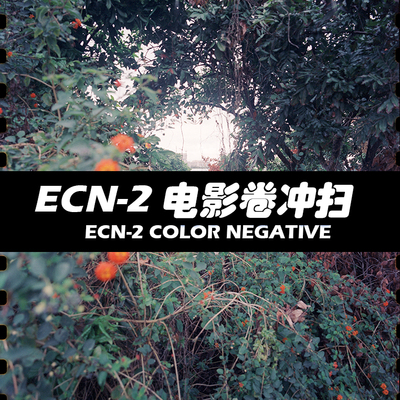 ECN-2 电影胶卷/胶卷/冲洗+扫描/冲扫服务【鸽子窝冲扫】