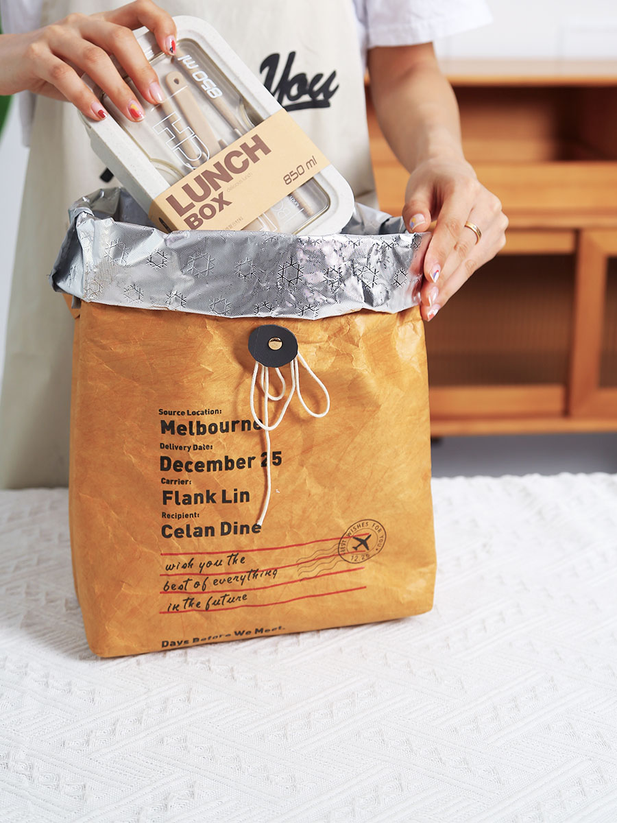 文艺野餐露营保温袋饭盒袋防水杜邦纸袋便当包可水洗牛皮纸袋定制