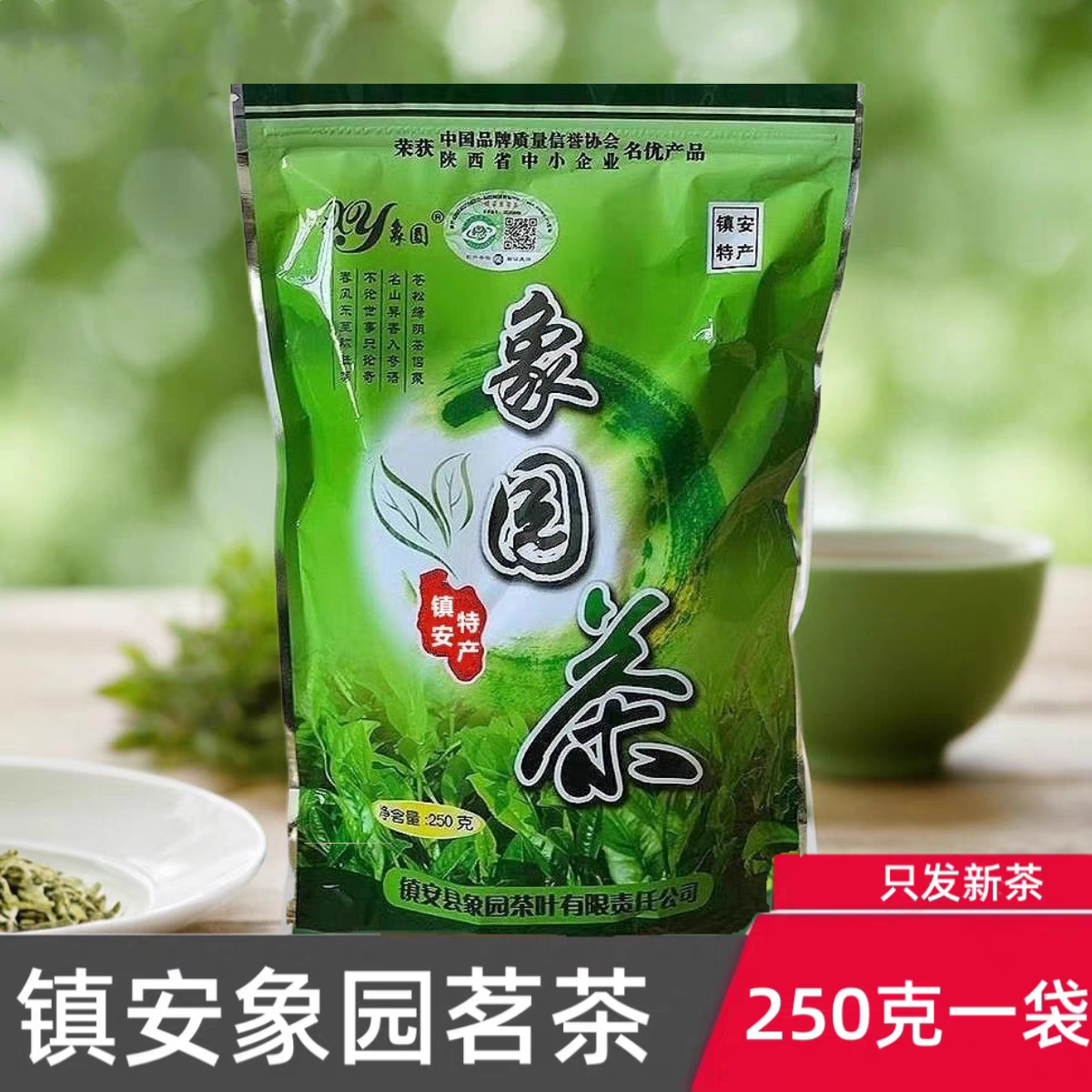 陕西镇安象园茶2025新茶叶商南秦岭泉茗象园炒青云雾绿茶250g
