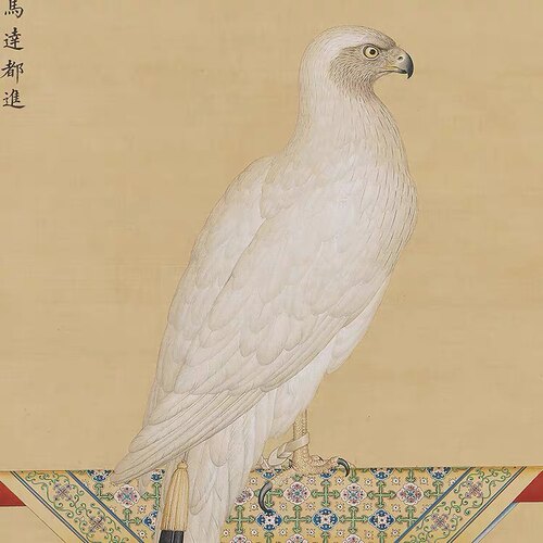 清 郎世宁 画玉花鹰图 真迹复制品35x64cm台北故宫藏清代花鸟画