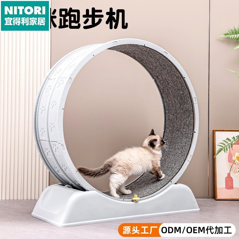 日本进口便宜得利猫咪跑步机静音猫跑轮运动健身宠物猫抓板大型猫
