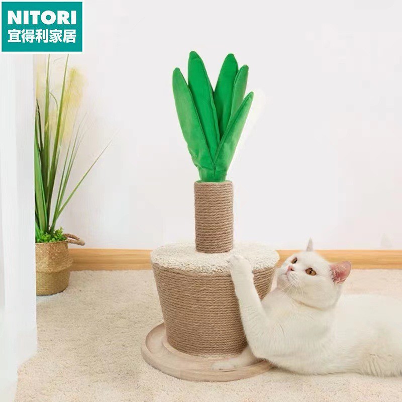 日本进口便宜得利FOFOS 两只福狸 植物盆栽 耐磨趣味猫抓板 剑麻