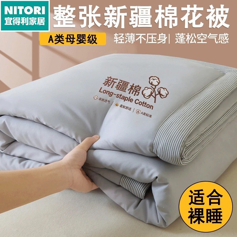 日本进口便宜得利【烫画有版权】2026新款A类水洗棉新疆棉花夏被