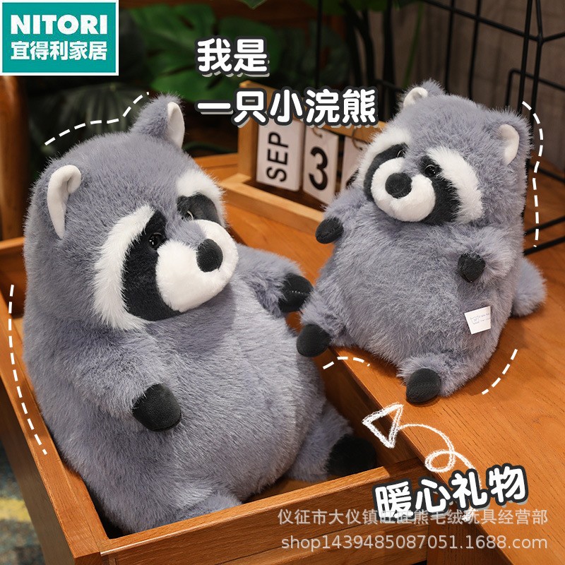 日本进口便宜得利新款可爱浣熊毛绒公仔动物玩偶抱枕毛绒玩具抱抱