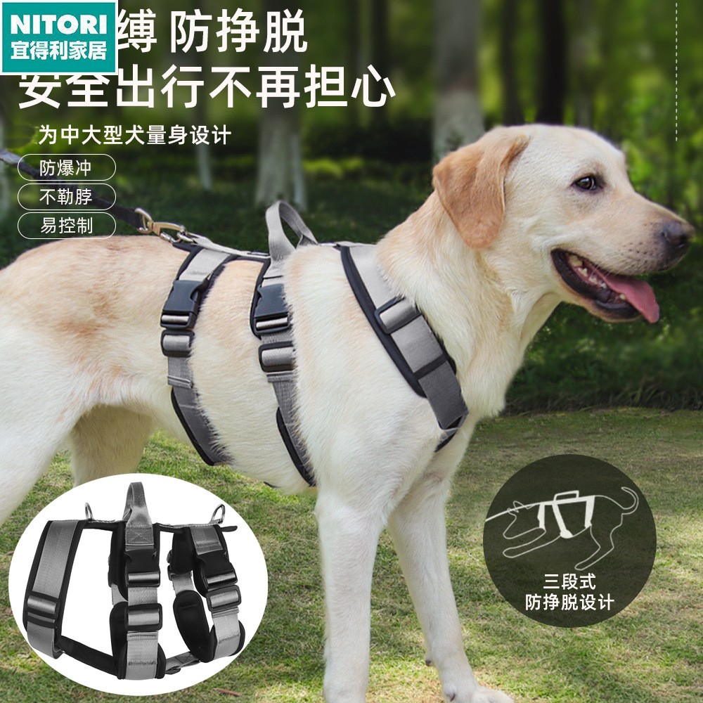 日本进口便宜得利狗狗牵引绳大狗防爆冲宠物胸背带中大型犬防挣脱