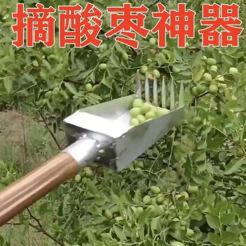 2023新款摘酸枣神器摘果器采果器高枝摘山枣野果小果工具不扎手