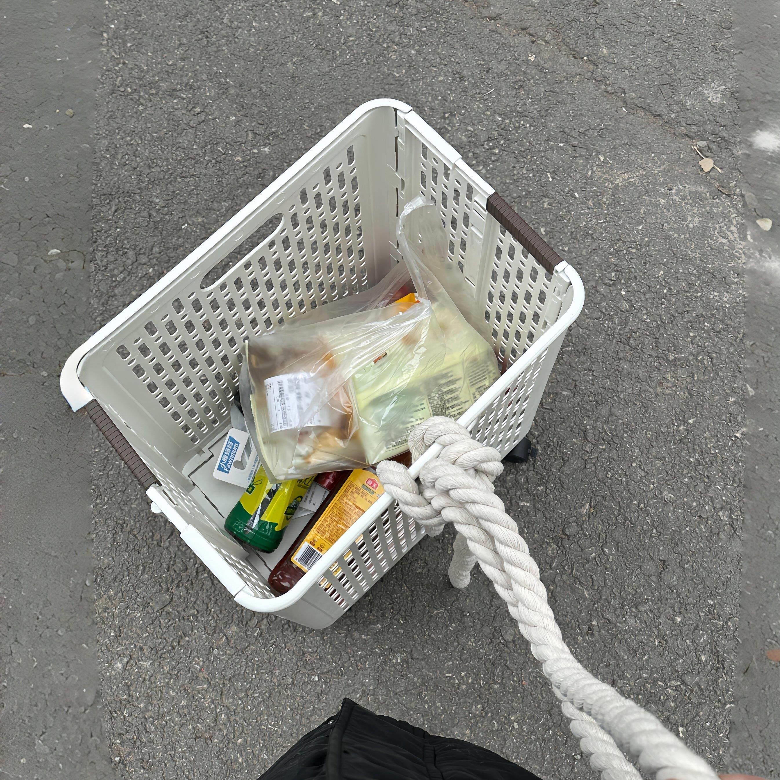 一个人买菜也能拿~家用买菜赶集专用特大号拉车可携式可折叠带轮