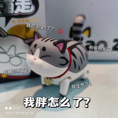 Q萌宠电动自走小猫咪带喵走盲盒