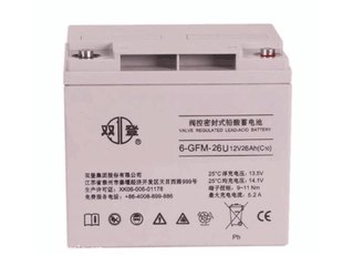 100储能密封12V100AH通讯消防主机电瓶 双登蓄电池6 GFM