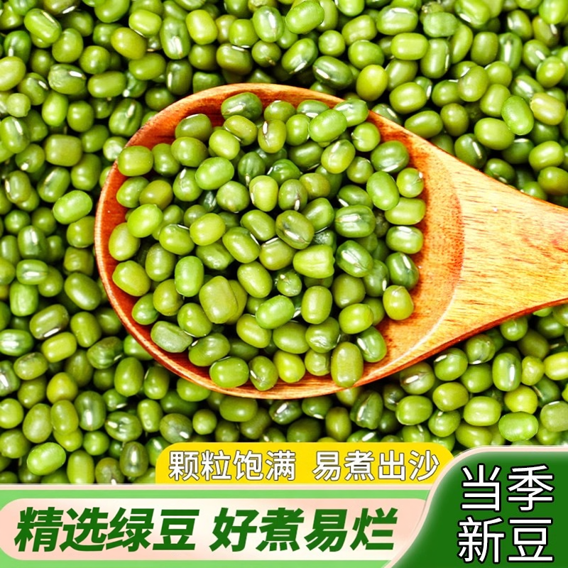 新货绿豆五斤新鲜农家五谷杂粮颗粒饱满绿豆饼绿豆糕原料绿豆汤