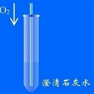 澄清石灰水50ml检验二氧化碳趣味化学实验买一赠一科普实验器材
