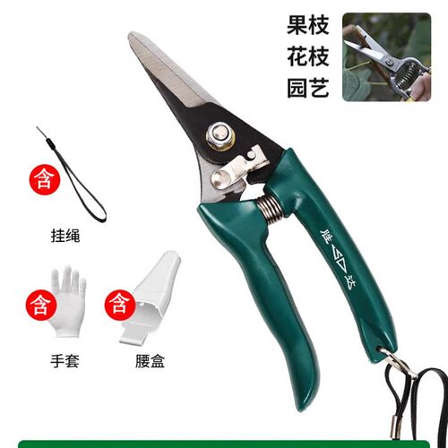 SD胜达园艺剪刀修枝剪树枝粗枝园林花艺剪树枝工具修花卉果树剪刀