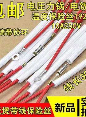 正品电压力锅温度保险管热熔断器RY169A/157A温控保险丝10A250V