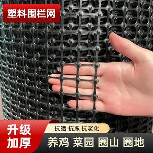 塑料网养鸡养殖围栏护栏网栅栏小孔家用菜园果园户外加厚防护网格