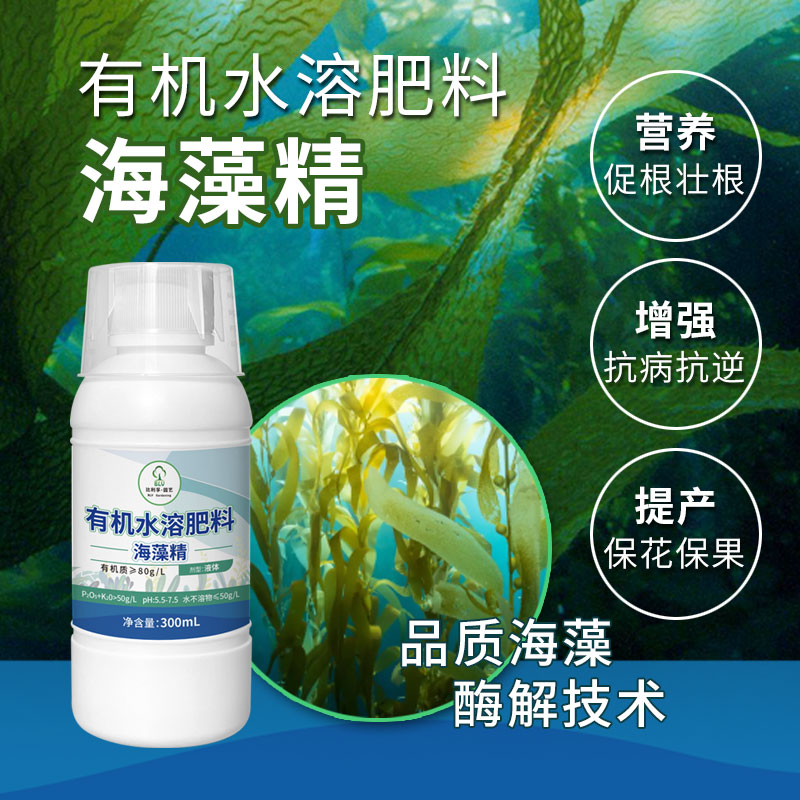 比利孚海藻精浓缩有机水溶肥