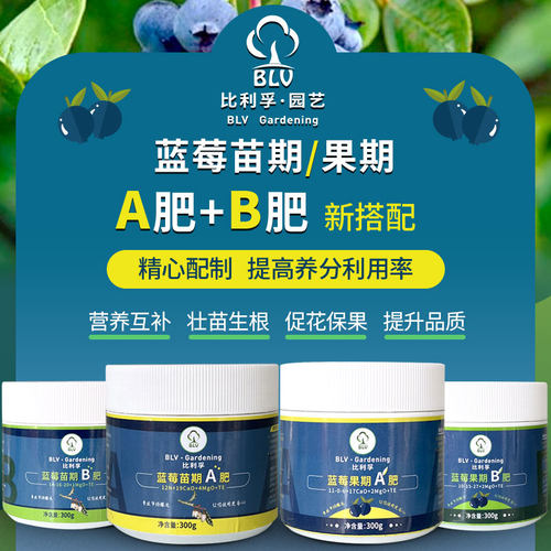 比利孚蓝莓AB肥改善黄叶促生长