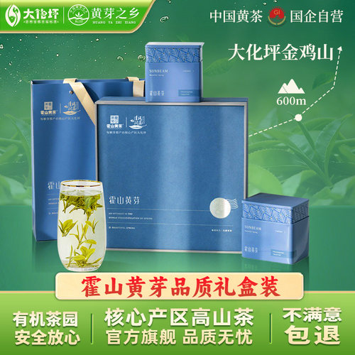 霍山黄芽官方旗舰店新茶礼盒400g