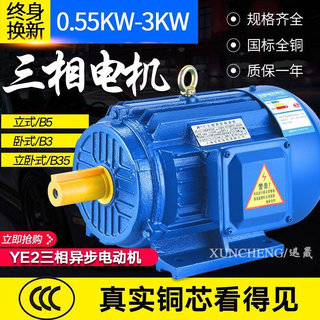 YE2三相异步电动机0.55/0.75/1.1/1.5/2.2/3KW全铜线电机380V调速