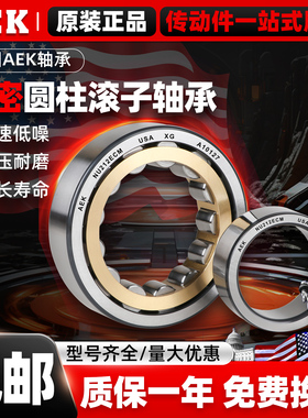 美国AEK进口轴承 NJ1016 1017 1018 1019 1020 EM ECM E-TVP C3