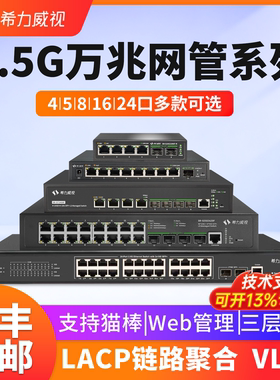 希力威视2.5G10G交换机万兆网管4口5口8口16口24电口2万兆光口LACP链路聚合带POEVLAN 汇聚镜像支持猫棒