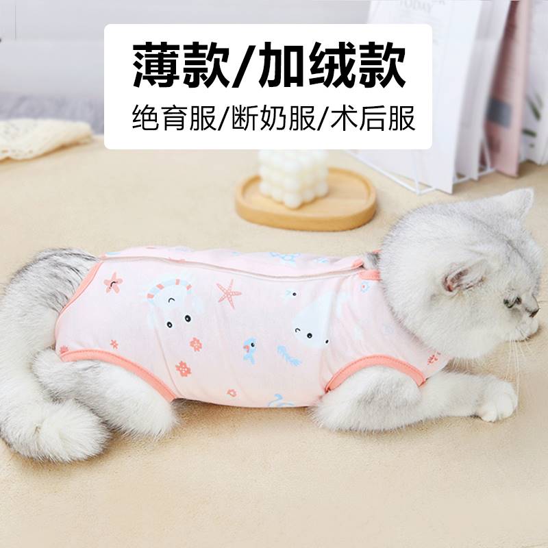 母猫咪狗狗绝育服护肚防舔春夏薄款宠物断奶防掉毛透气手术后衣服