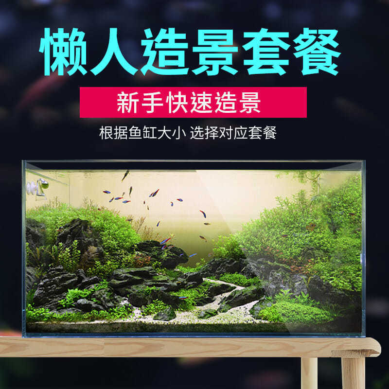 30种水草种子套餐 四季种植 鱼缸水草造景 耐寒水草(送肥料)