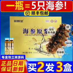 正宗山东蓬莱升级款海参原浆口服液滋补即食精华旗舰店正品