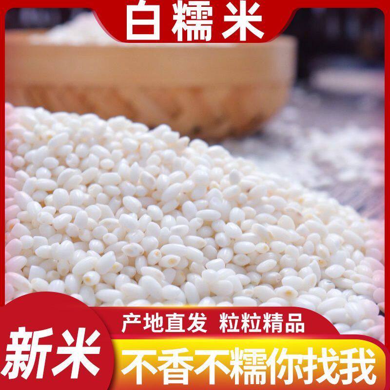 【批发】白糯米正宗农家圆糯米新鲜糯米江米大米包粽子黏米专用