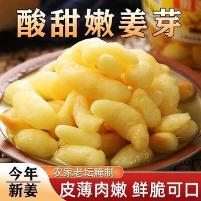 新鲜枸杞泡姜芽仔嫩生姜腌制下饭泡菜糖醋嫩姜芽袋装开袋即食泡菜