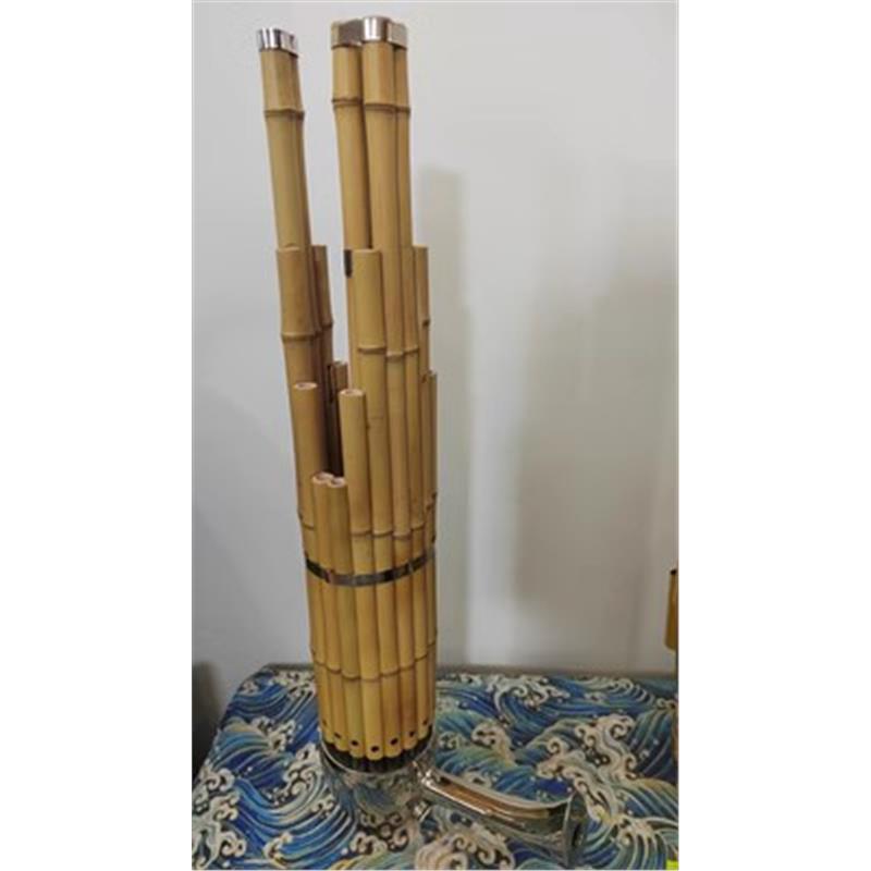 Spring plus three keys 17 Sheng craft 21 student musical instruments children's professional musical instruments Baizhu Grade Examination Sheng Professional playing Spring Sheng